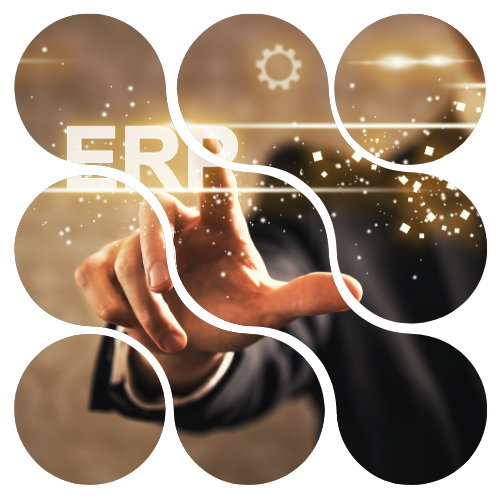 customised ERP solutions customised ERP solutions